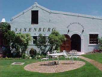 saxenburg wine farm