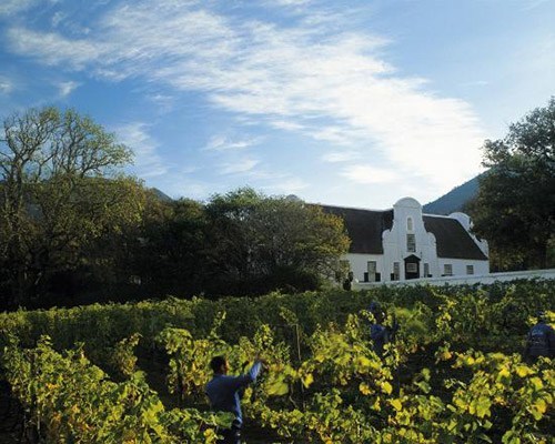 groot constantia wine farm
